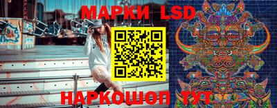 стафф Гатчина