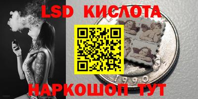 стафф Гатчина