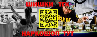 стафф Гатчина