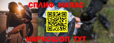 стафф Гатчина
