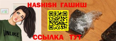 стафф Гатчина