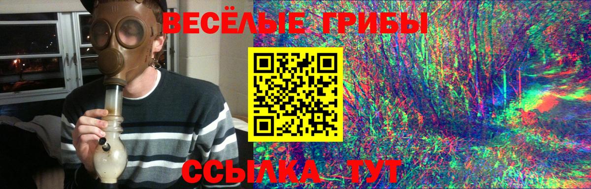 Псилоцибиновые грибы MAGIC MUSHROOMS  Вход с VPN  Нальчик 